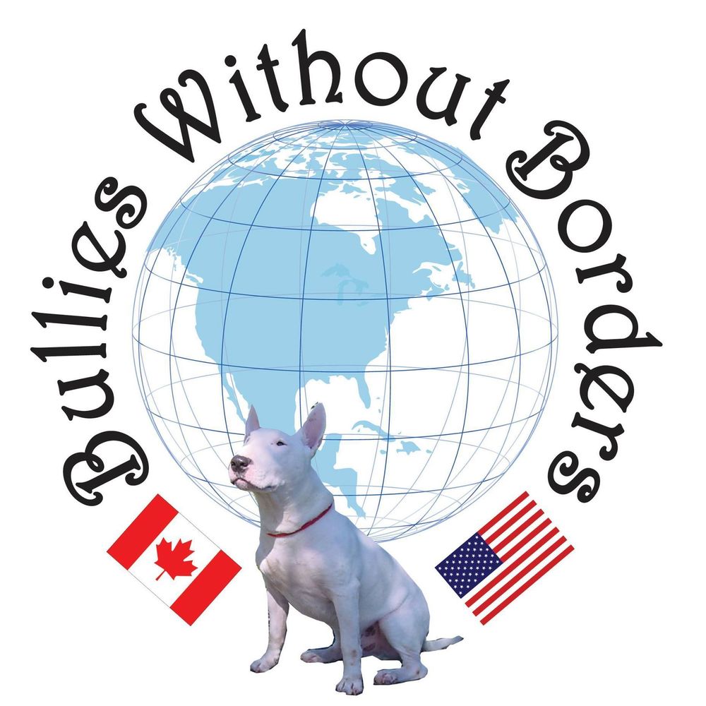 Meet your Posher, Deb